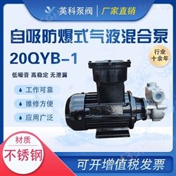 20QY-1自吸防爆式气液混合泵
