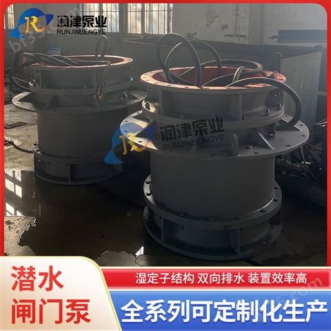 一体化泵闸 配备湿定子全贯流泵 润津泵业