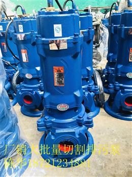 50XWQ10-10-0.75化粪池污水泵皮革厂泵