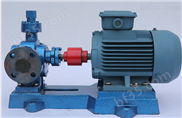KCG-1/1.0-KCG高温齿轮泵是涂料业输送泵