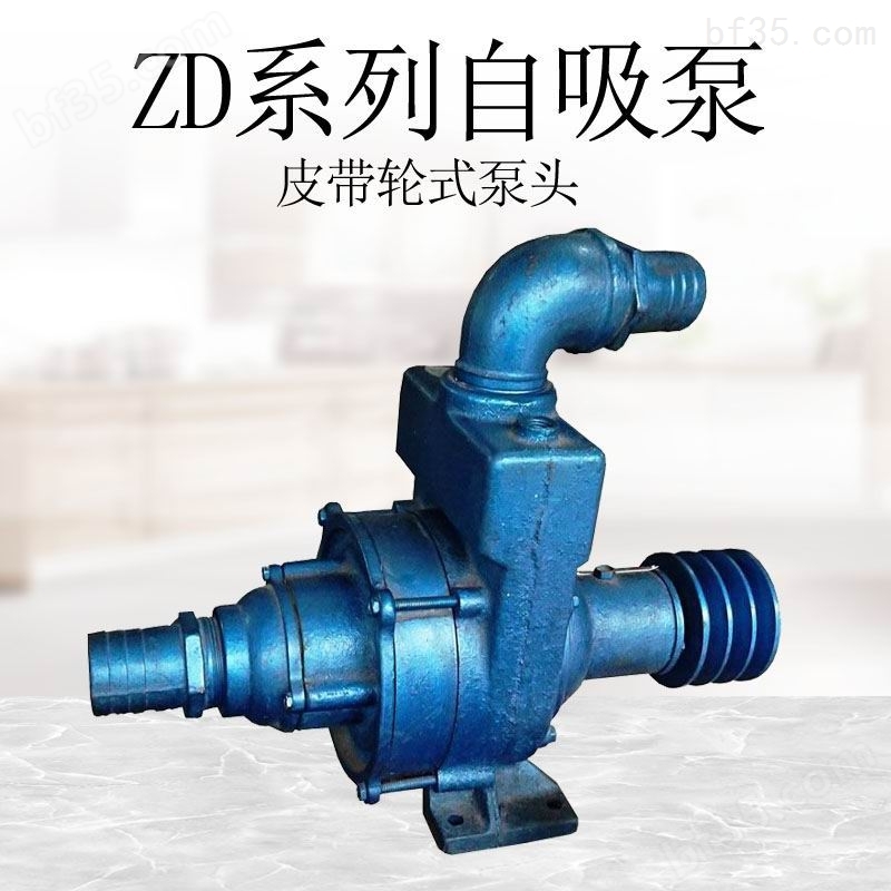 ZD系列自吸泵 卧式抽水泵