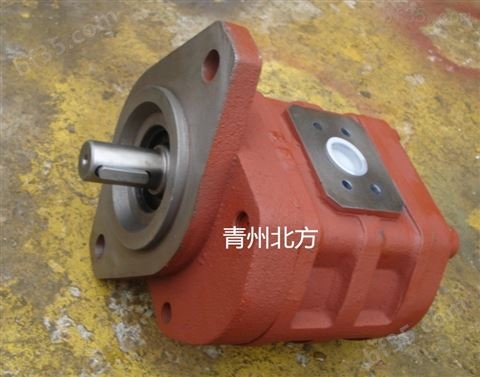 高压齿轮泵CBY2032-2FR四川长江同款