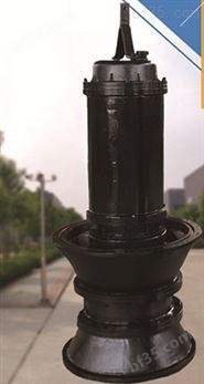 广东省雨季排水潜水轴流泵