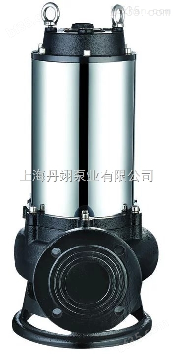 65JPWQ25-15-2.2自动搅匀排污泵